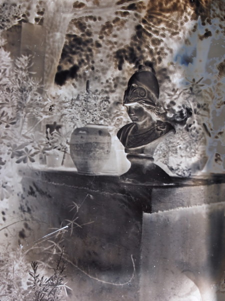 Wet Plate Collodion Negative on glass