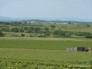 sud de france vineyards near montblanc languedoc