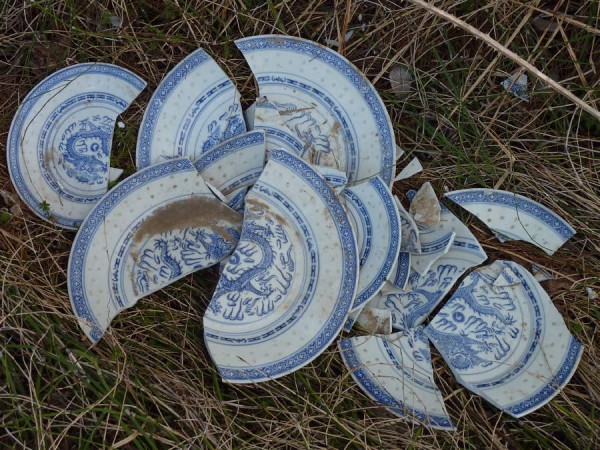 China Plates tossed into a ditch